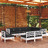 Conjunto Lounge de Jardim C/ Almofadões Pinho Maciço Branco 10 pcs