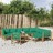 Conjunto Lounge de Jardim Bambu C/ Almofadões Verdes 12 pcs