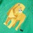 T-shirt para Criança com Estampa de Leão Verde 140