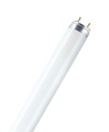 Lâmpadas Fluorescentes Tubular T8 Trifósfora 120cm 36W G13 Fria
