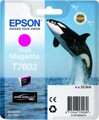 Tinteiro Epson Magenta T7603
